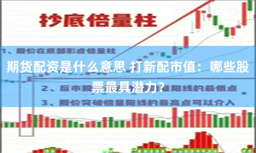 期货配资是什么意思 打新配市值：哪些股票最具潜力？