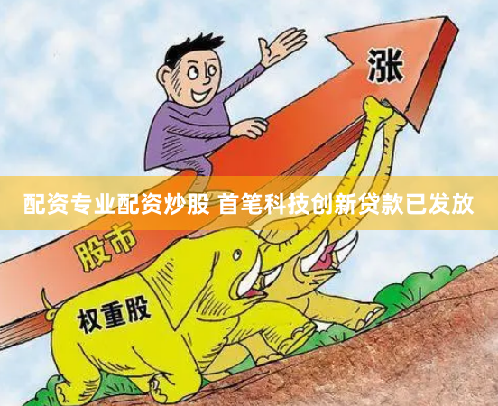 配资专业配资炒股 首笔科技创新贷款已发放