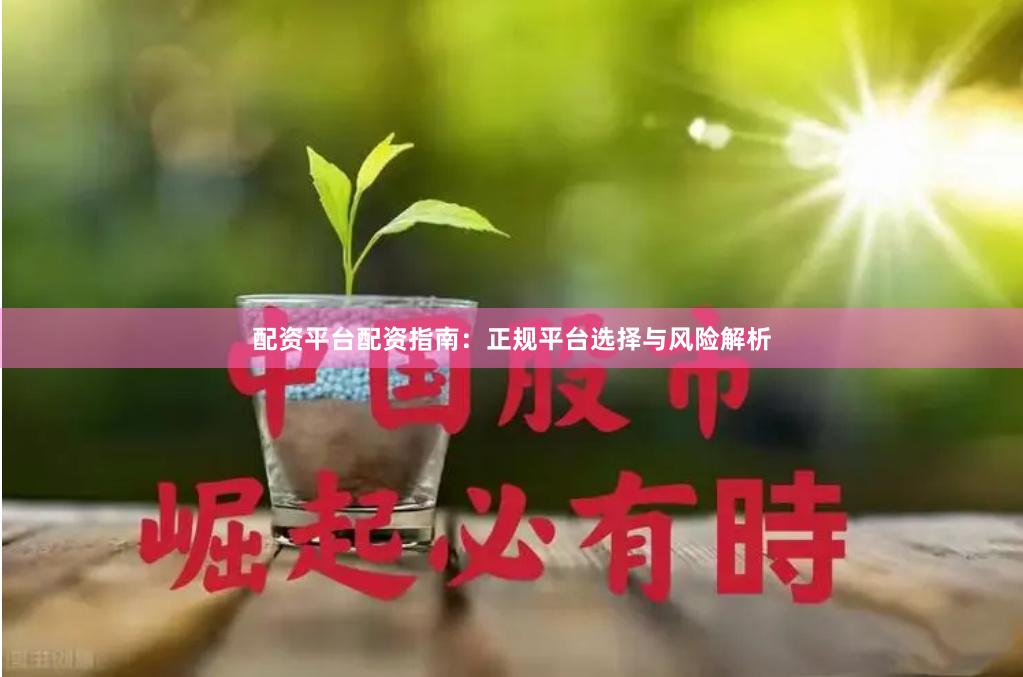 配资平台配资指南：正规平台选择与风险解析