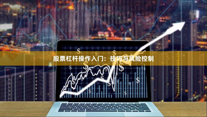股票杠杆操作入门：技巧与风险控制