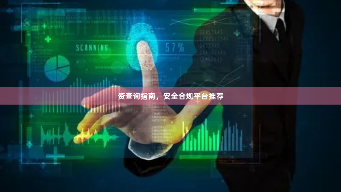 资查询指南，安全合规平台推荐